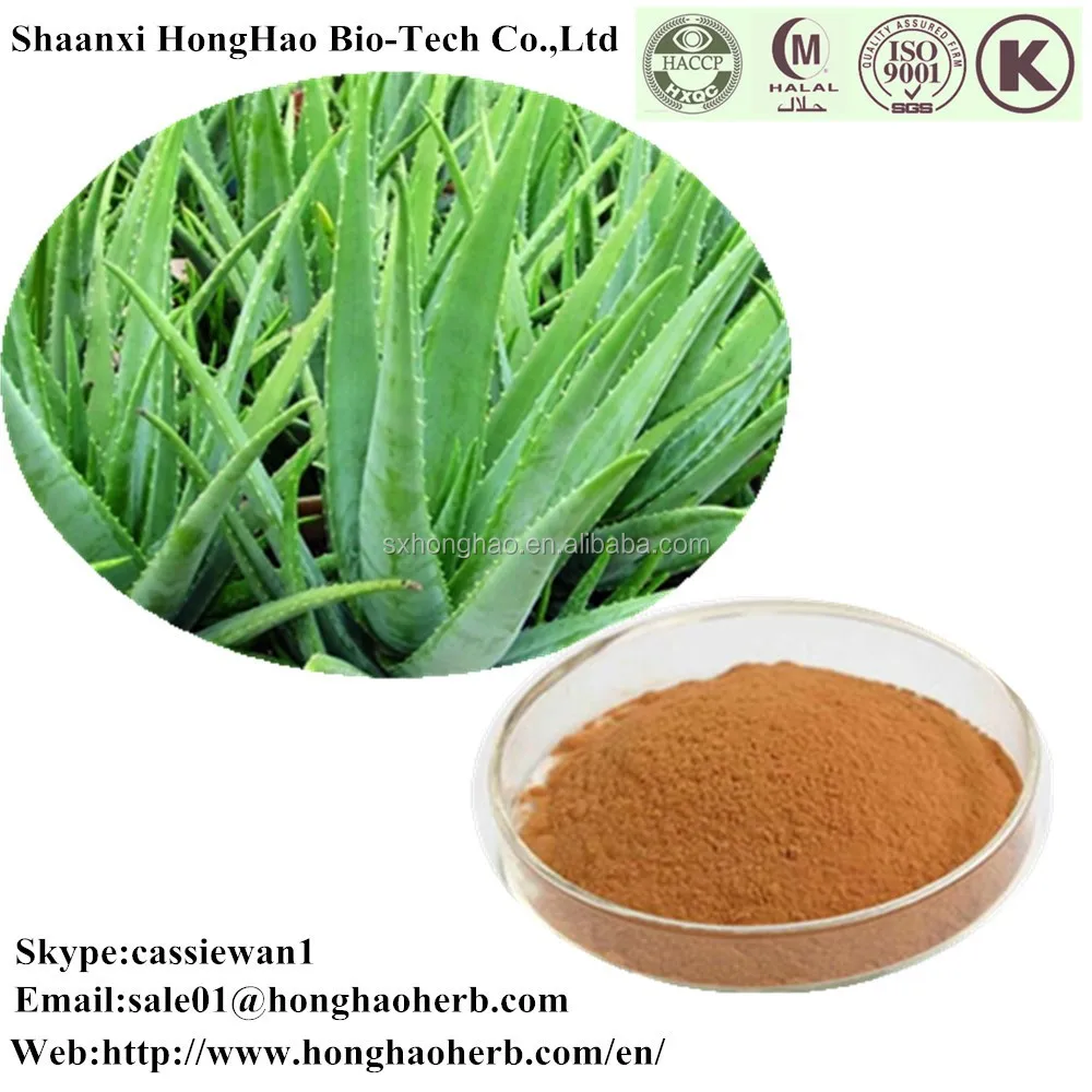 Aloe barbadensis extract. Экстракт листьев алоэ барбаденсис. Aloe barbadensis Leaf extract. Экстракт алоэ барбаденсис.