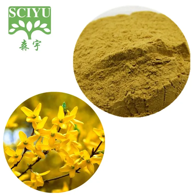 Forsythia Suspensa Fructus Extract Weeping Forsythia Extract Powder
