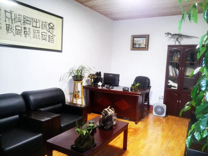 Zigong City Red Tiger Culture & Art Co., Ltd. 2