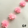 Rosa 2