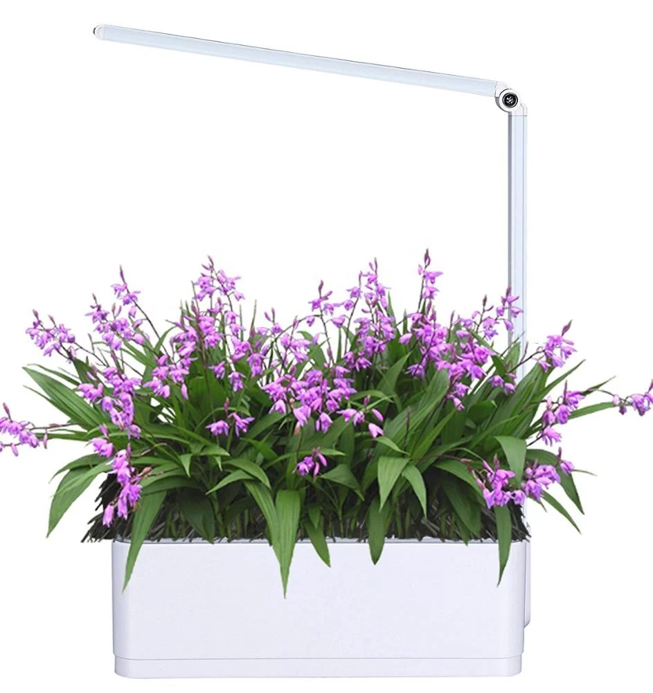 
Креативный мини-умный сад со светодиодной подсветкой для растений в помещении Смарт садовые теплицы для выращивания гидропоники системы наборы цветочных горшков под заказ 