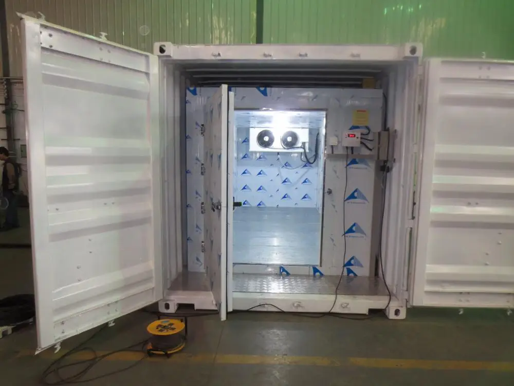 20FT 40FT Cold Storage Container Cold Room Container and Chiller Freezer Container Low Price