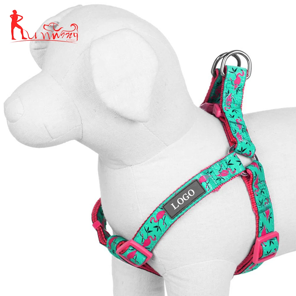 double ring dog harness