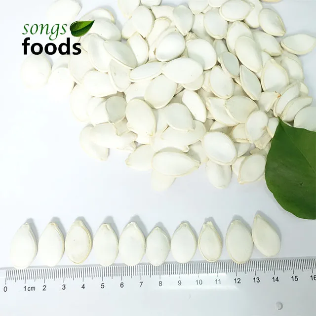 Высококачественные съедобные семена тыквы большого размера