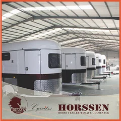 Jinan Cywitzs International Trade Co., Ltd.