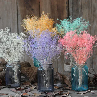 Dried Or Preserved Natural Real Small Star Dust Gypsophila Baby S Breath Flower Buy Dyed Gypsophila Dried Flower Bunch Baby S Breath Flowers Product On Alibaba Com