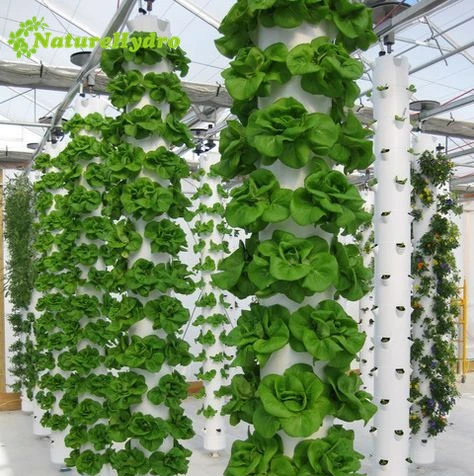Advanced Aerponics System Vertical Farming Aeroponic Tower
