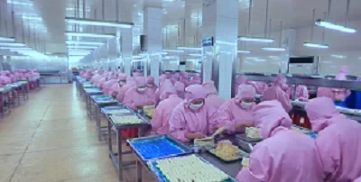 Handan Zhaohui Biotechnology Co., Ltd. 3