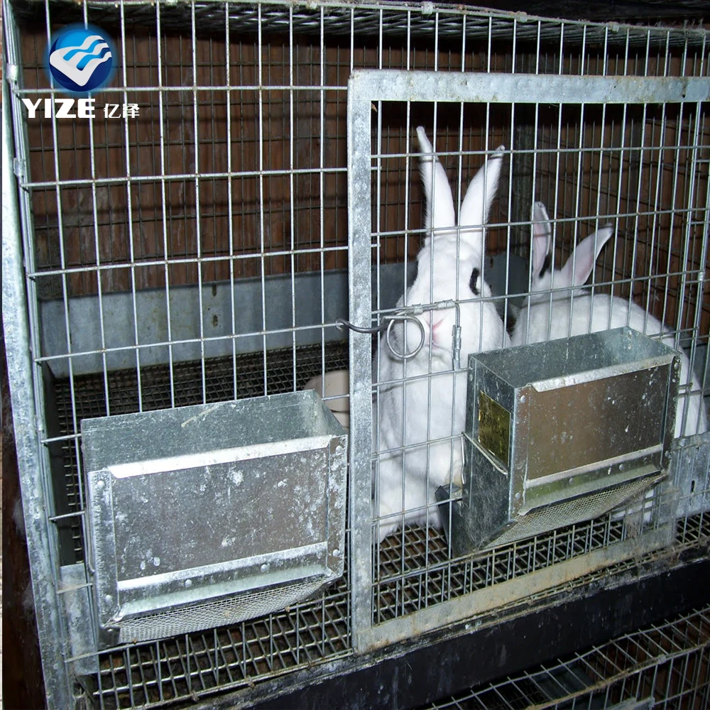 Hot Sale Different Types Rabbit Cages - Buy Rabbit Cage,Buy Rabbit ...