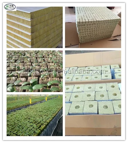 Kaikso-In Lot de 20 cubes de laine de roche pour jardinage pour serre de jardin culture hydroponique plantation de semis