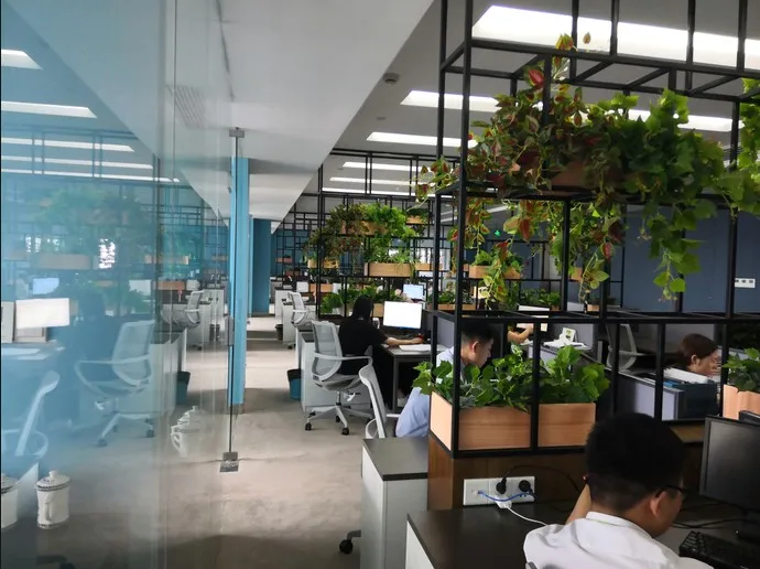 Grace Technology Shuyang Co., Ltd.