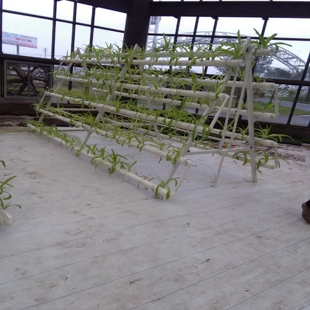 The Most Professional and Customizable Agricultural Vertical Hydroponic Hydroponic Growing System NFT Channel Supplier