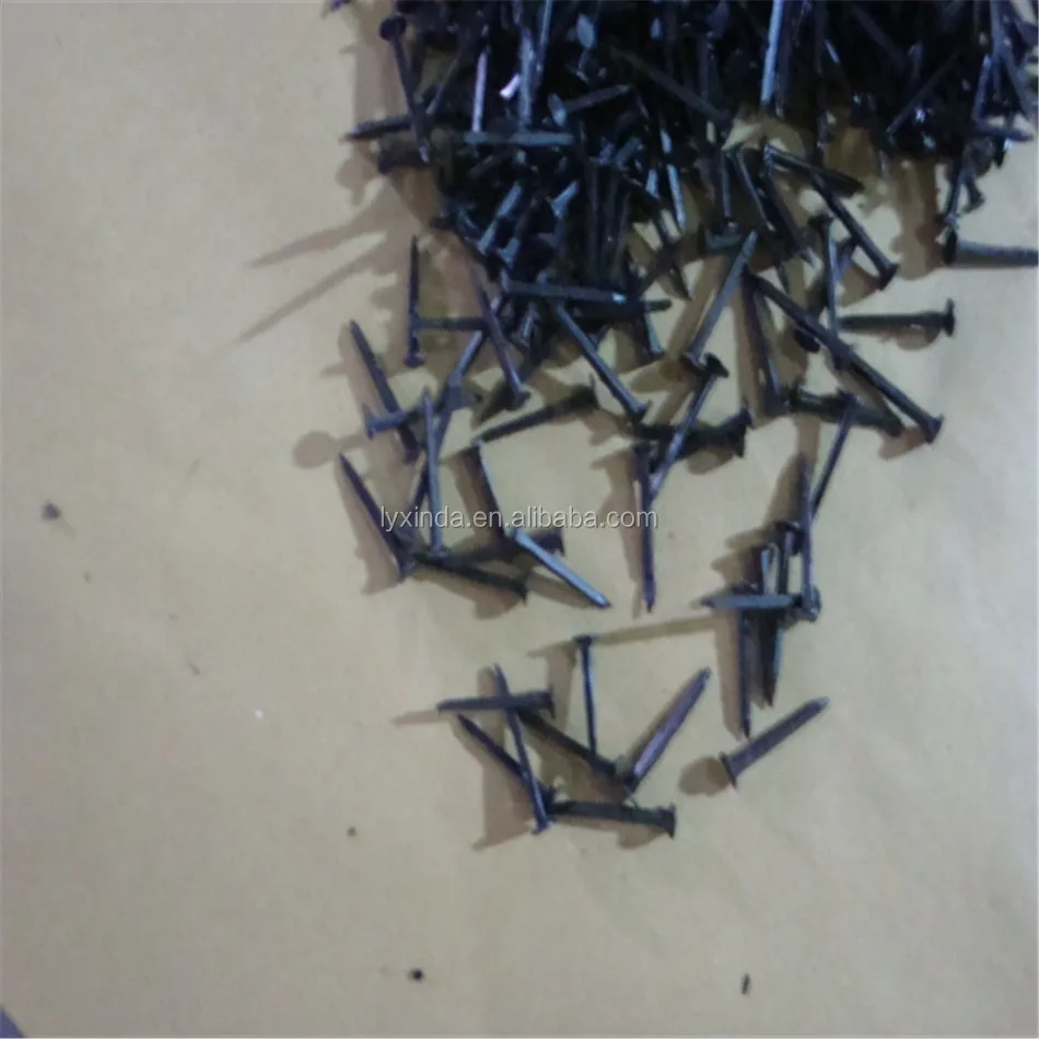 Popular 5/8' 3/4' 1/2' 1' Shoe Tack Nails with Good Quality - China Shoe  Nail, Blue Shoe Tack Nail | Made-in-China.com