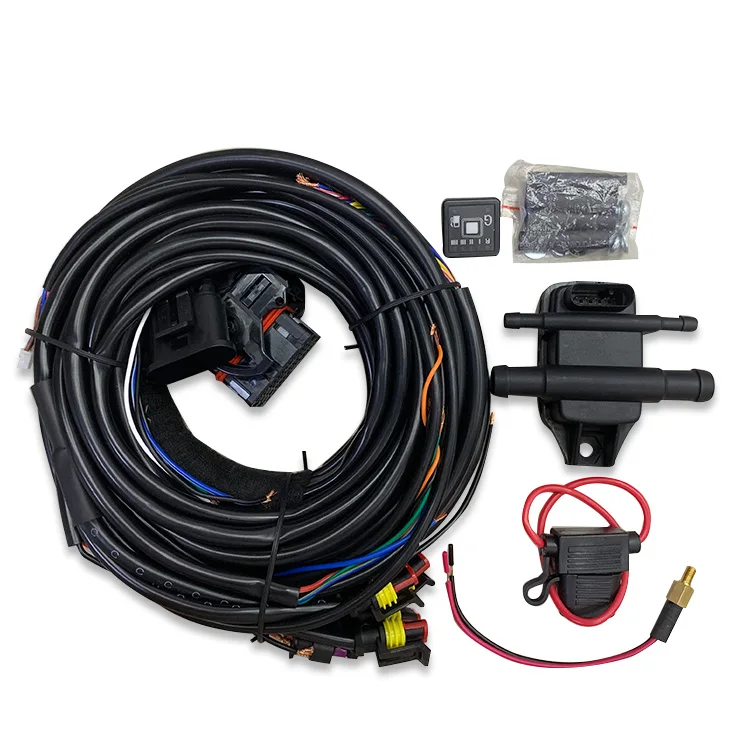 Popular 6cyl 8cyl Car Conversion Kit Small Engine Efi Ecu Kit for Sale