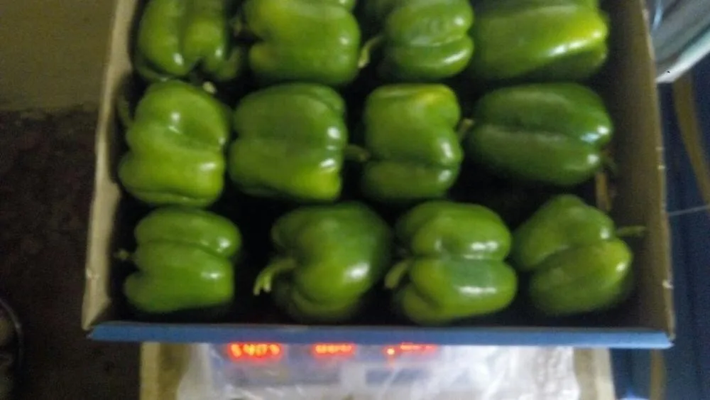Fresh-Capsicum-color-pepper