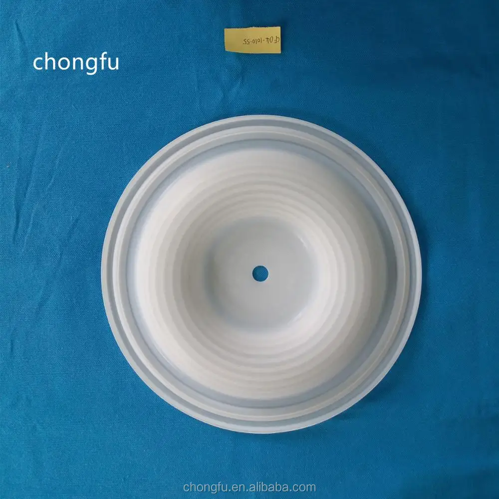 04-1010-55 Diaphragm factory