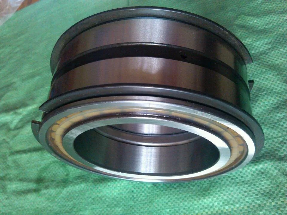 Cylindrical Roller Bearings E5020NRNT E5020NR E5020 Crane Pulley Jump Rope Bearing