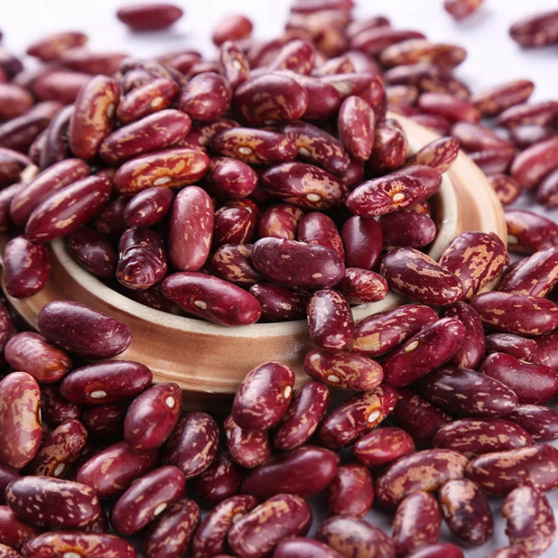 Wholesale Pinto Bean Red Speckled Kidney Beans for Wholesale Organic Red Kidney Bean