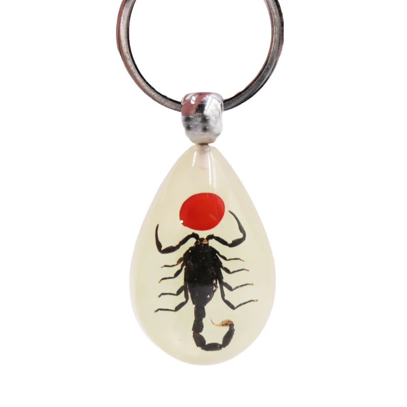 Luminous Scorpion Keychain Real Insect Amber Keyring Fluorescent Effect Metal Plastic Resin Acrylic Number Gifts Decorations