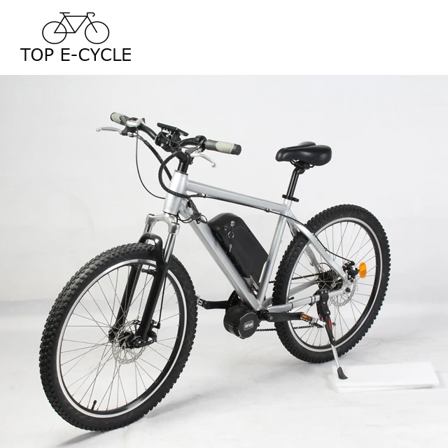 top electric bicycle brands