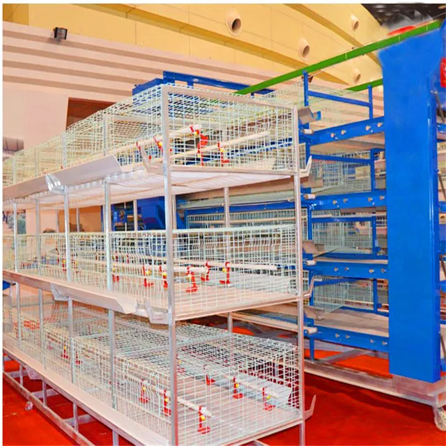 Zhengzhou Livi Machinery Broiler Rate Cages Equipment For Poultry Farm Buy Broiler Rate Cages Broiler Cage Equipment For Poultry Farming Product On Alibaba Com