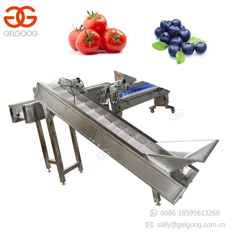 Automatic Papaya Cucumber Sorting Machine Japan Cucumber Grading Machine