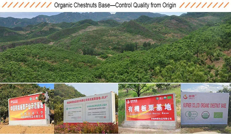 organic chestnuts base