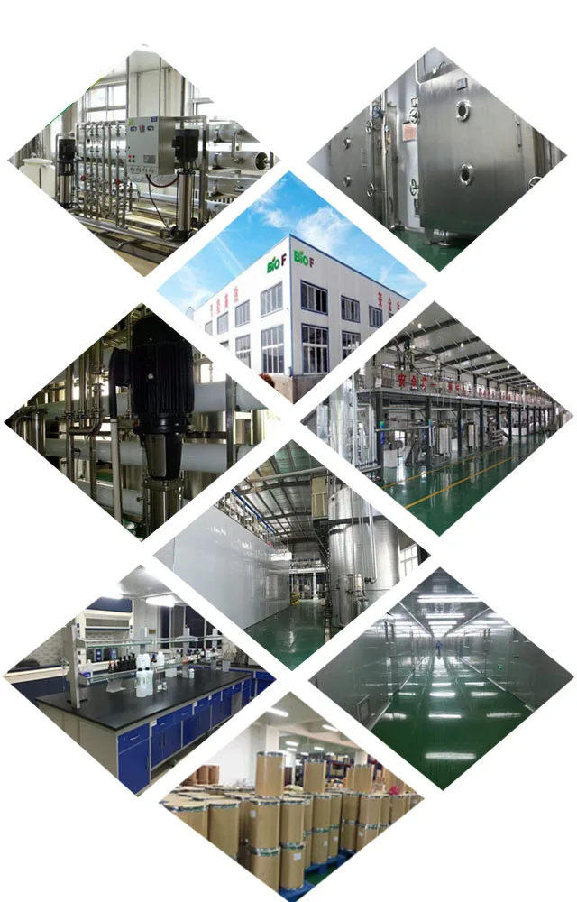 99% Purity Healthy And Cosmetic Grade Coenzyme Q10 Powder Orange Color 4