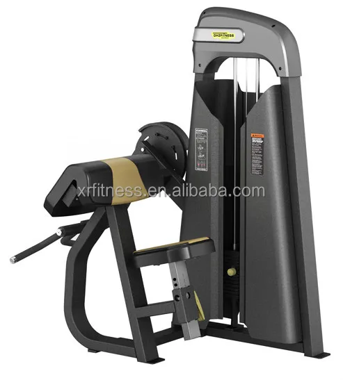 equipment for biceps exercise