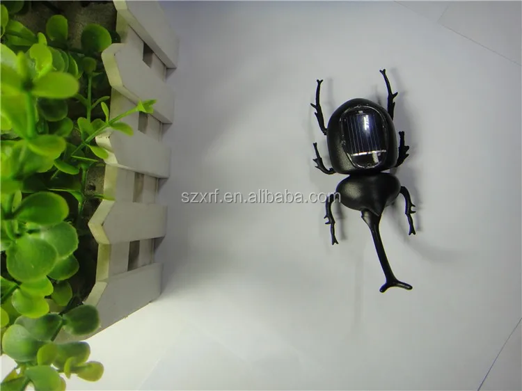 Новый Модный милый подарок Солнечный Жук