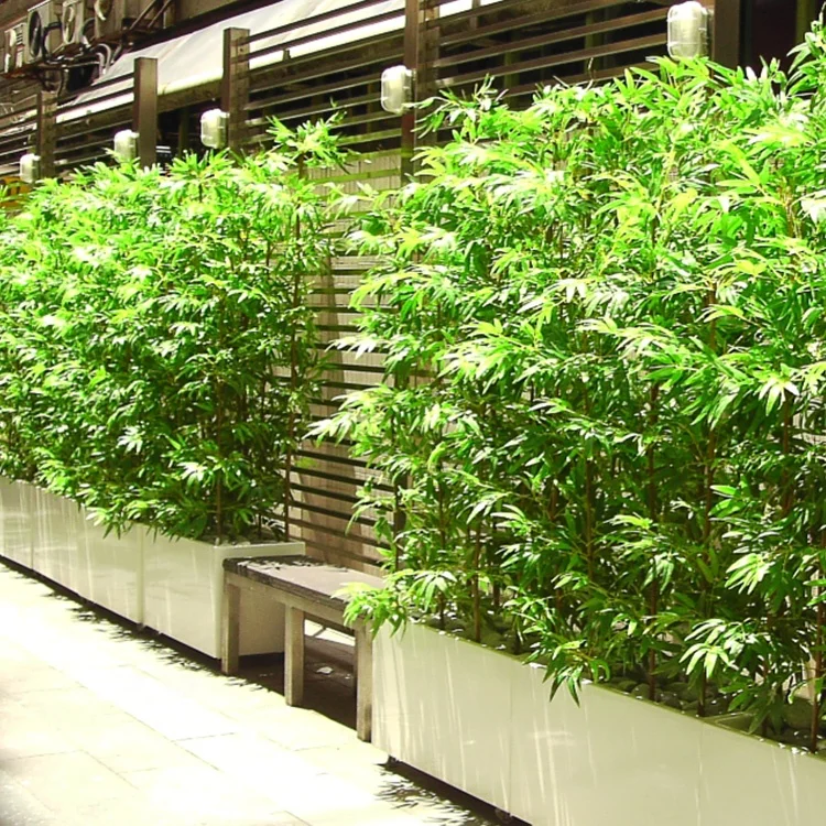 
Оптовая продажа, различные размеры, дешевые искусственные растения, бамбук для дома и улицы 