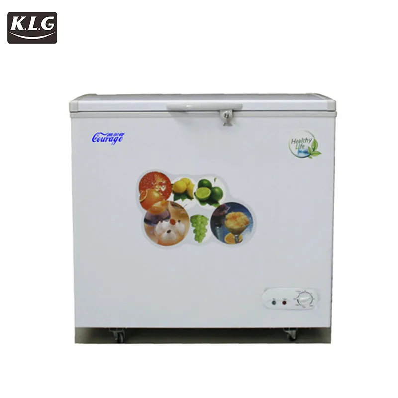40 Feet Container Cold Storage Industrial Refrigerator Gas Fridge Iqf Tunnel Refrigerator lg Chest 50 Liter Deep Freezer