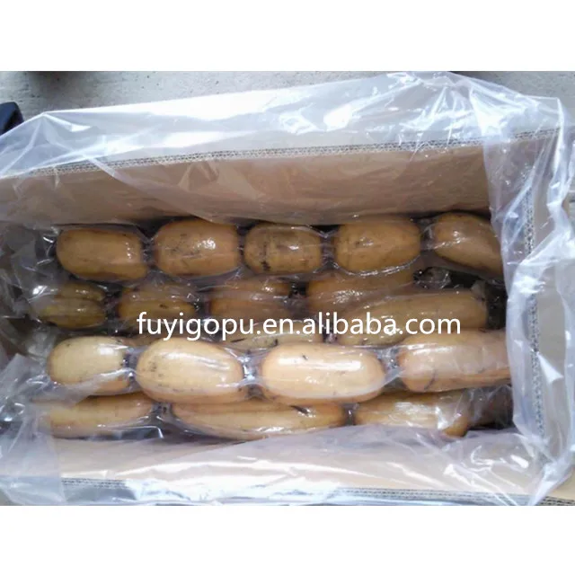 Fresh Lotus Root Prices for Export