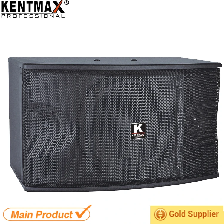 Good Sound DJ Speaker Box with Competitive Price