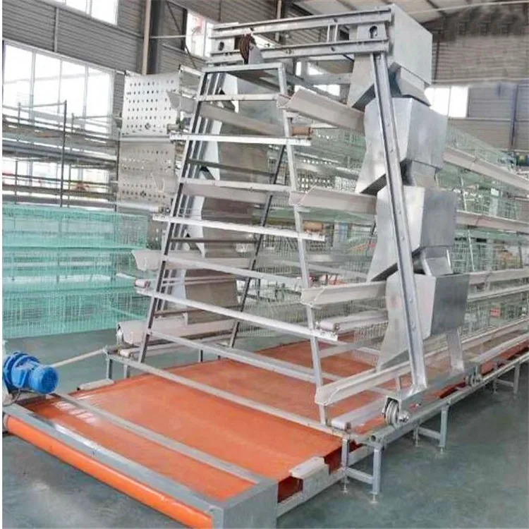 
Automatic poultry farming system poultry chicken manure cage in uganda 