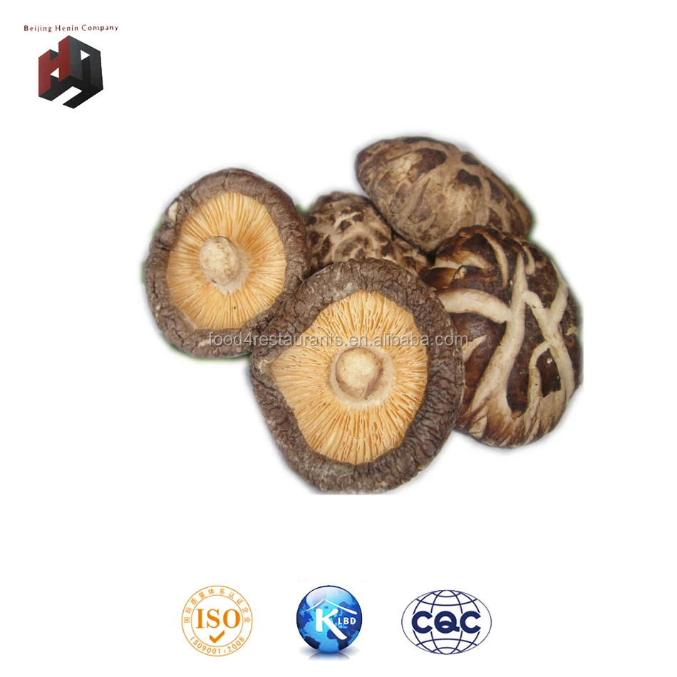 pure natural dehydrated dried mushrooms