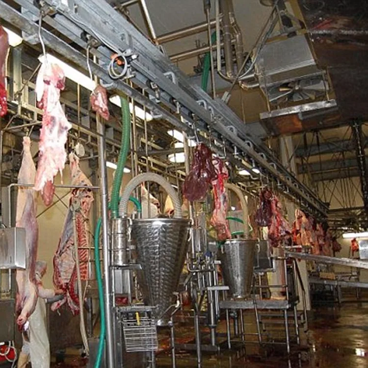 Slaughter line automated donkey meat processing equipment