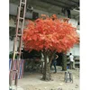 สีแดง