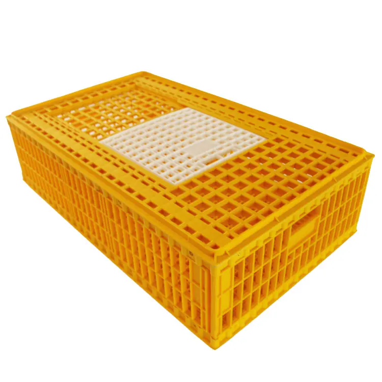 Cheap Price Plastic Chicken Transport Breeding Box Egg Layer Poultry Chicken Crates Plastic Transport Boxes