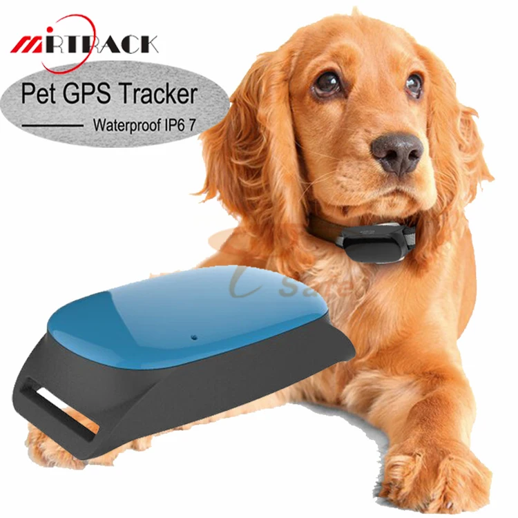 how much does it cost to put a tracker in a dog