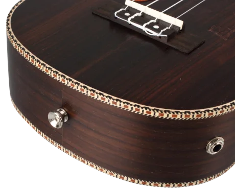 ギター Tenten FERNANDES STEJ-DLX SUS 【SH-4 JBピックアップ・サスティナー搭載