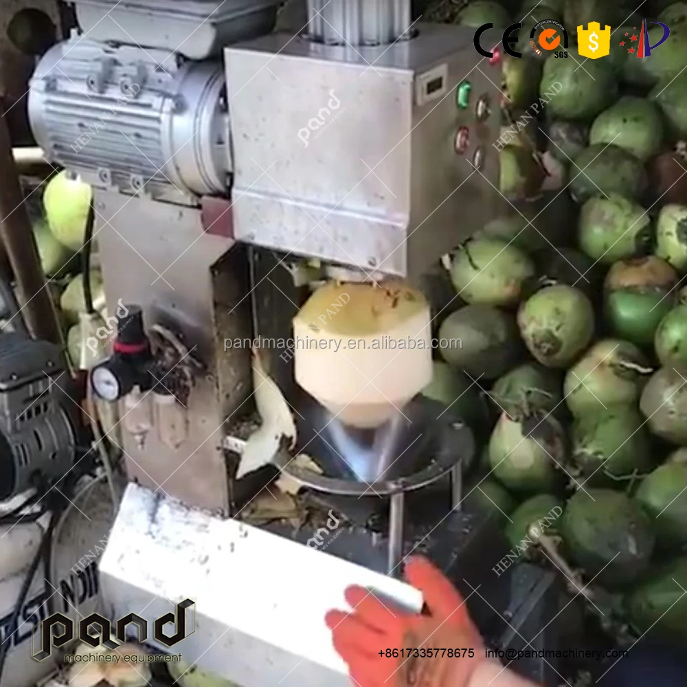 110V 220V Automatic Green Coconut Peeler Peeling Machine/coconut Skinning Machine/stripping Machine - Image 5