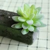 DR055 verde
