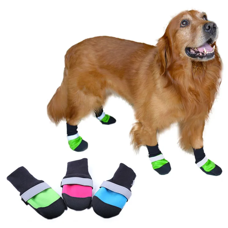 Dog Shoe Promotion-Shop for Promotional Dog Shoe on