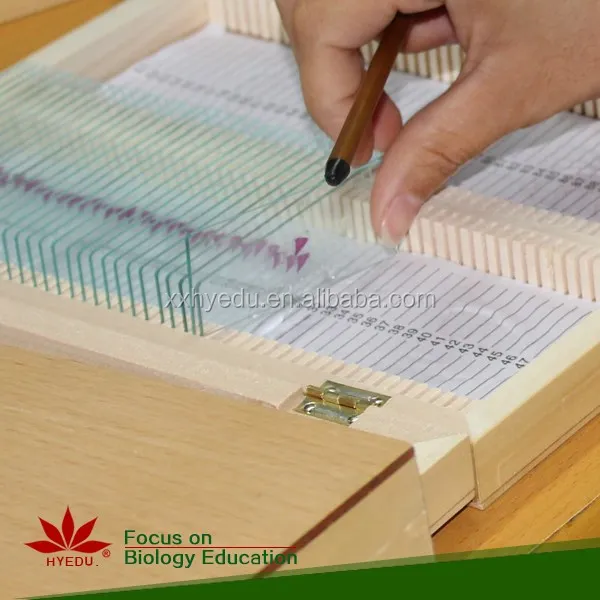 
Высококачественные тканевые предметы, биологический микроскоп, стекло, человеческая гистология, подготовленные предметы, предметы для человеческого тела, предметы для микроскопа 