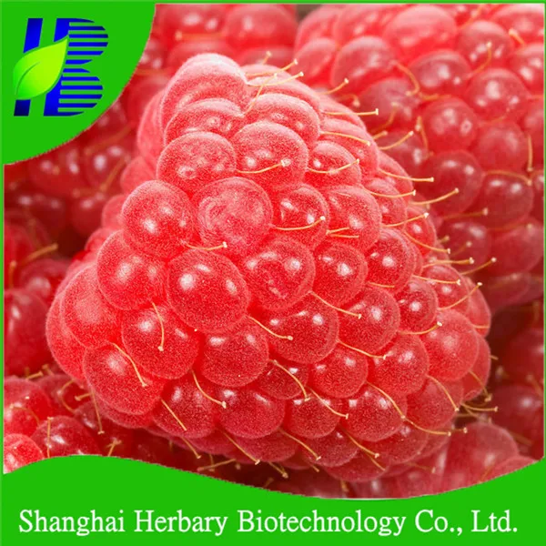 高発芽赤いラズベリーの種を植える Buy レッドラズベリーシードは レッドラズベリーシードは価格 熱帯植物の種子 Product On Alibaba Com