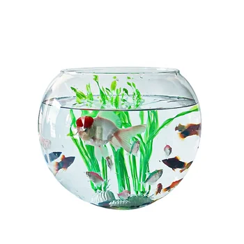 Clear Large Round Glass Fish Tank Fish Bowl Aquarium - Buy Glass Fish ...