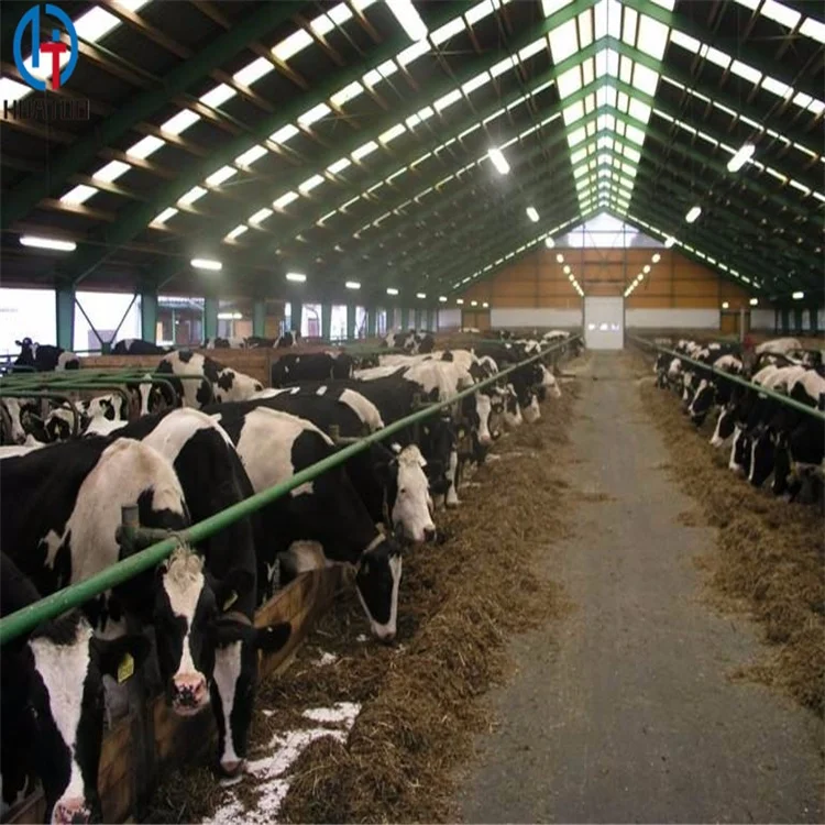 Free Design Drawing Steel Structural Poultry House Dairy Farm Shed for Chickens Shed