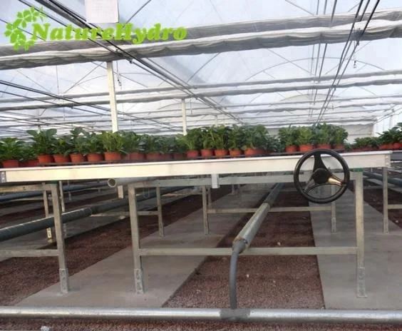 Agriculture Hydroponic Removable Seedbed Growing Tables for Commercial Plants