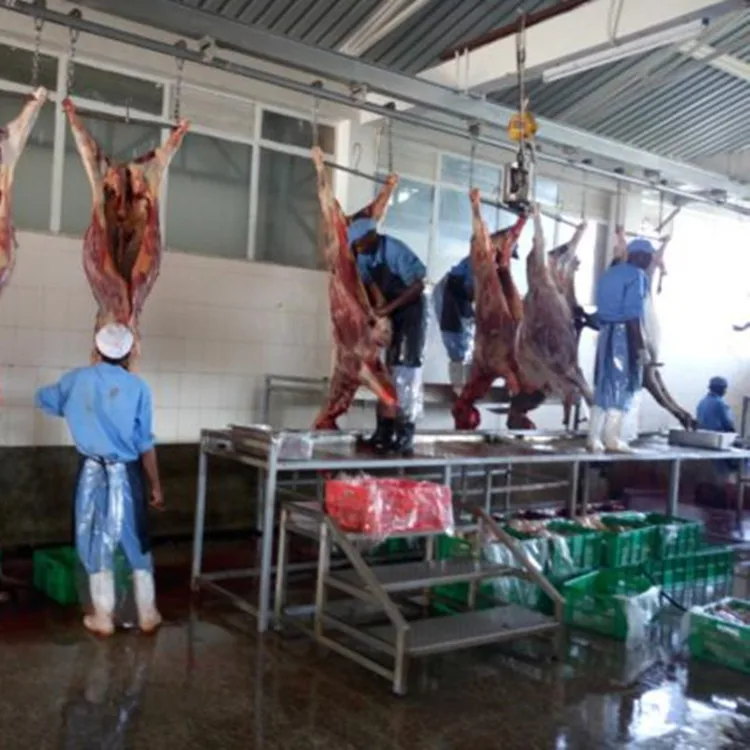 Hot selling donkey slaughtering equipment for meat slaughterhouse plants